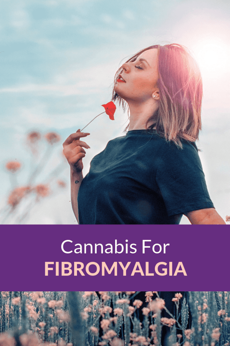 Cannabis For Fibromyalgia Cbd Oil For Fibro Dr Michele Ross