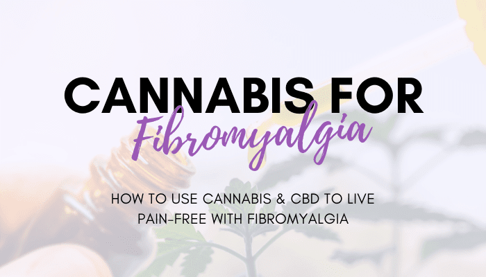 Cannabis For Fibromyalgia Course Waitlist Dr Michele Ross