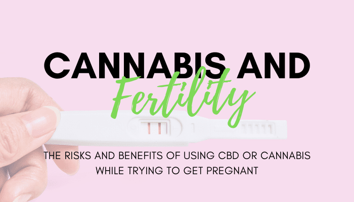 cbd and fertility course by dr michele ross