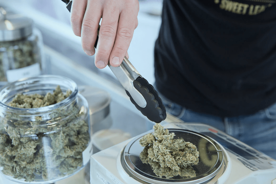 budtender weighing out CBD cannabis flower at a dispensary