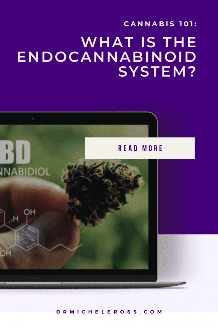 Cannabis 101: What is the Endocannabinoid System? | Dr. Michele Ross