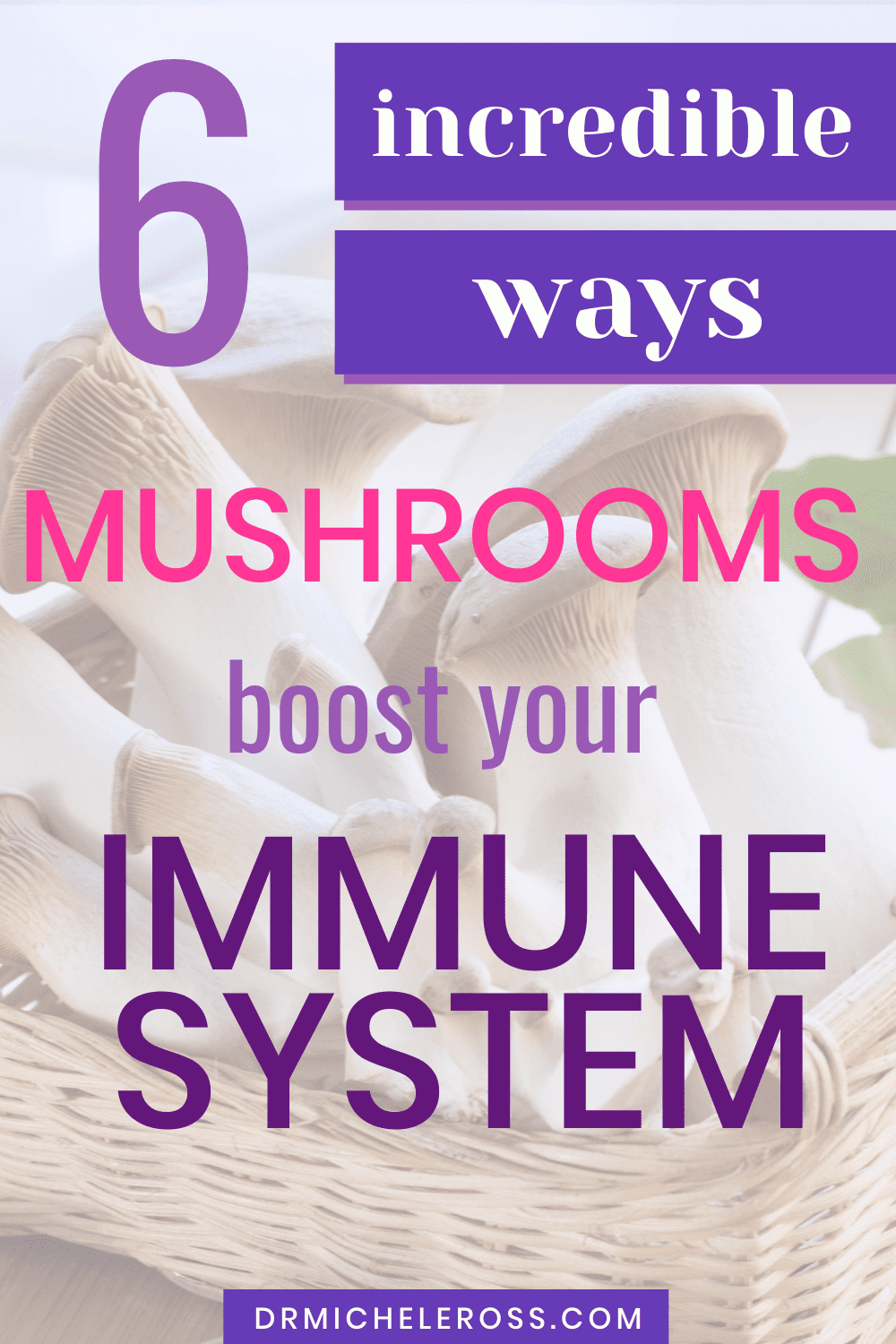 oyster mushrooms improve your immune system