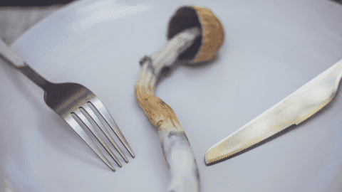 Sex On Magic Mushrooms: Is It Safe? | Psilocybin | Dr. Michele Ross