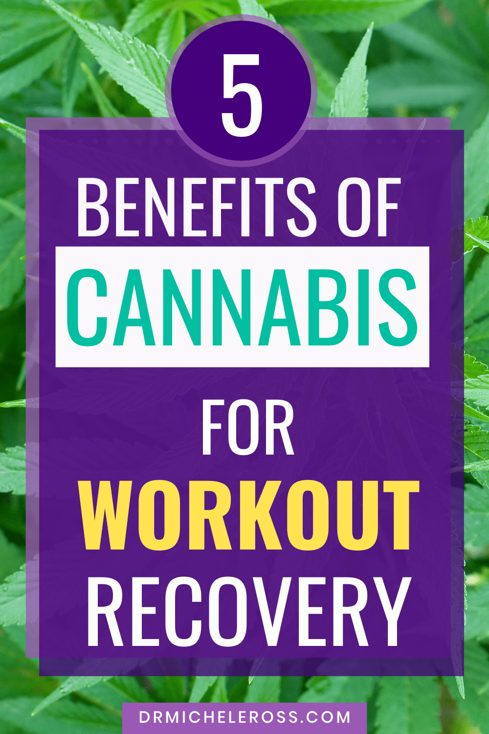 marijuana improves workout recovery