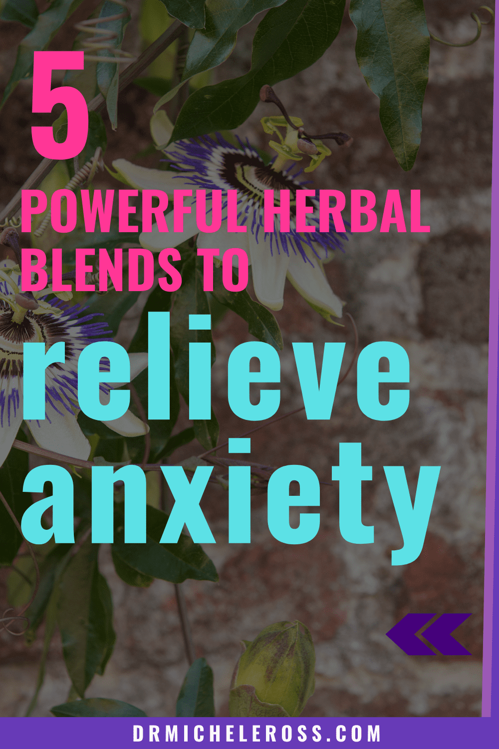 Powerful Herbal Blends To Relieve Anxiety Dr Michele Ross