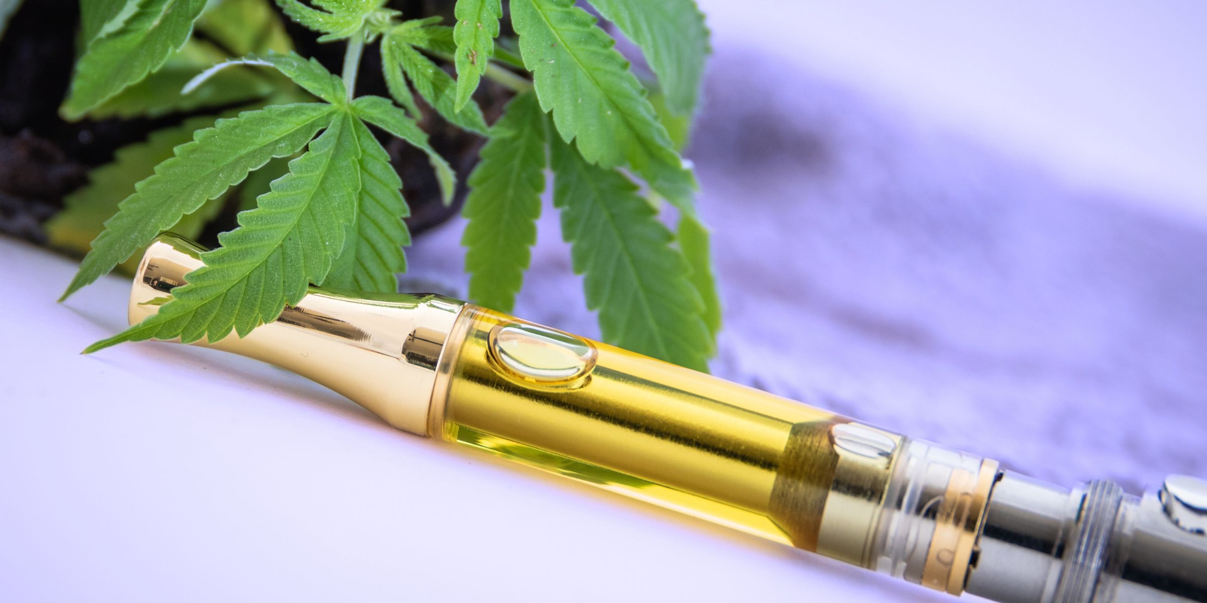 cbd vape pen filled with hemp oil next to marijuana leaves