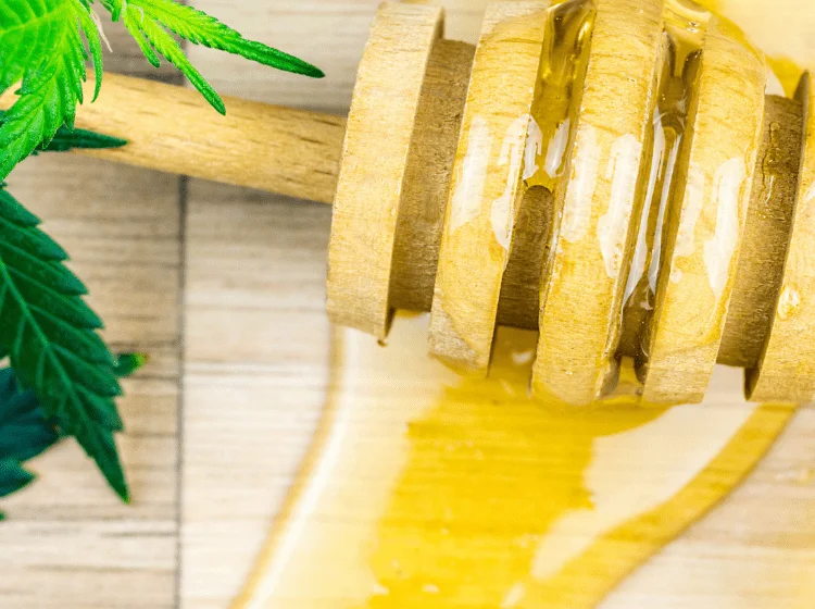 cbd oil honey has health benefits