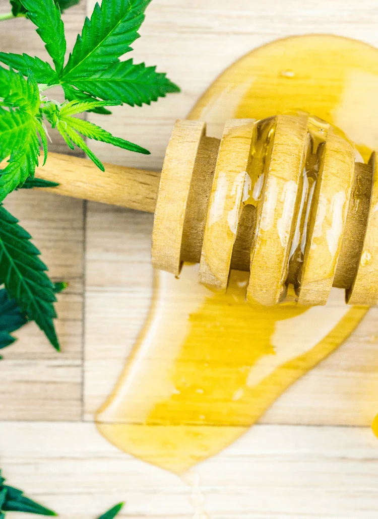 cbd oil honey has health benefits
