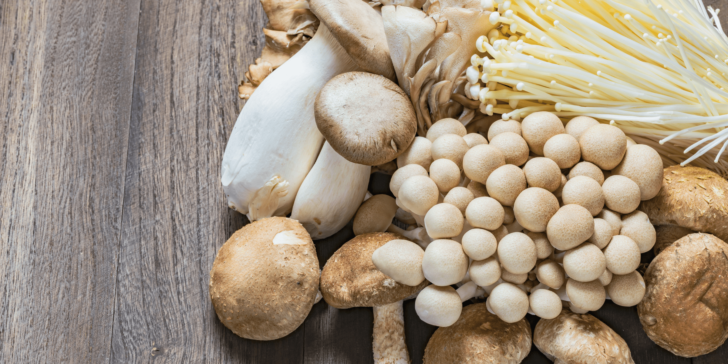 button mushrooms and oyster mushrooms boost the immune system and fight colds