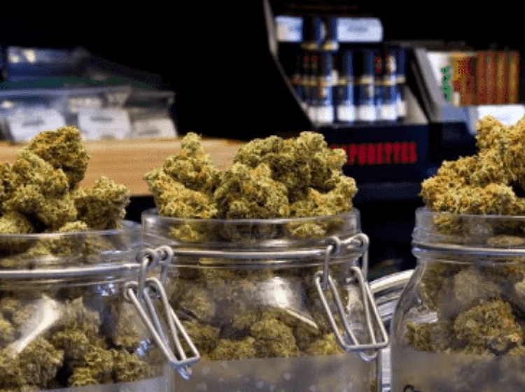 find a good recreational marijuana dispensary