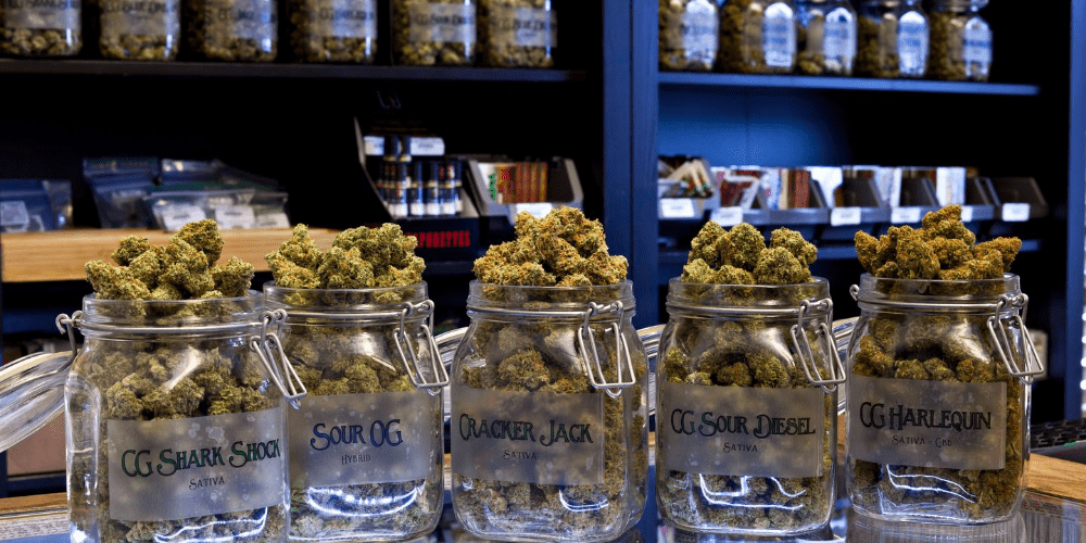 medical marijuana dispensary with cannabis flower