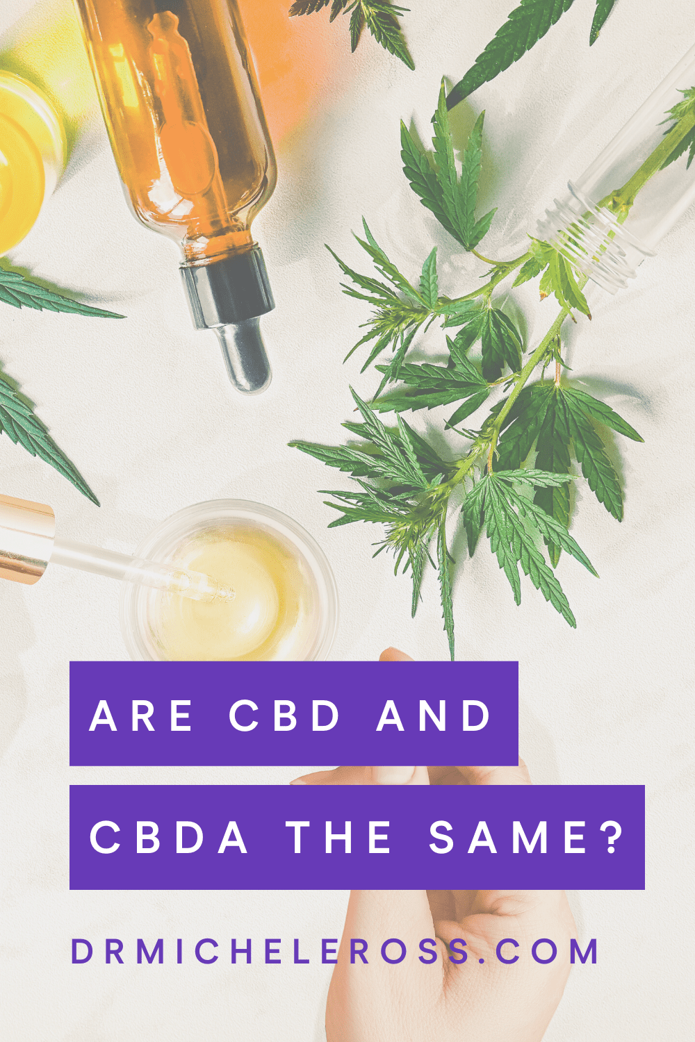 Are CBD and CBDA the Same? | Dr. Michele Ross