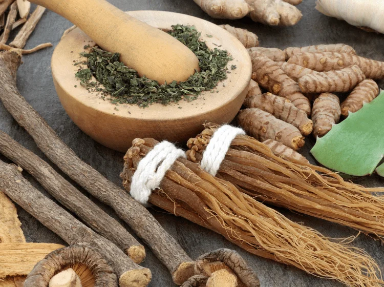 Adaptogens mushrooms cbd ashwagandha