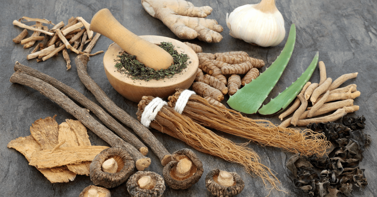 Adaptogens mushrooms cbd ashwagandha