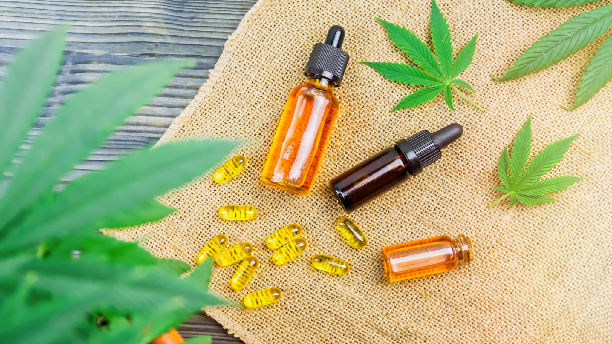 cbd in hemp oil may increase testosterone hormone in men