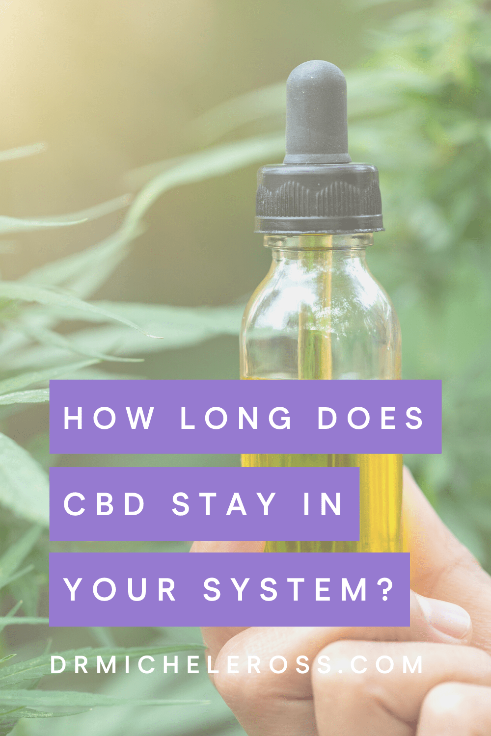 How Long Does CBD Stay in Your System?￼