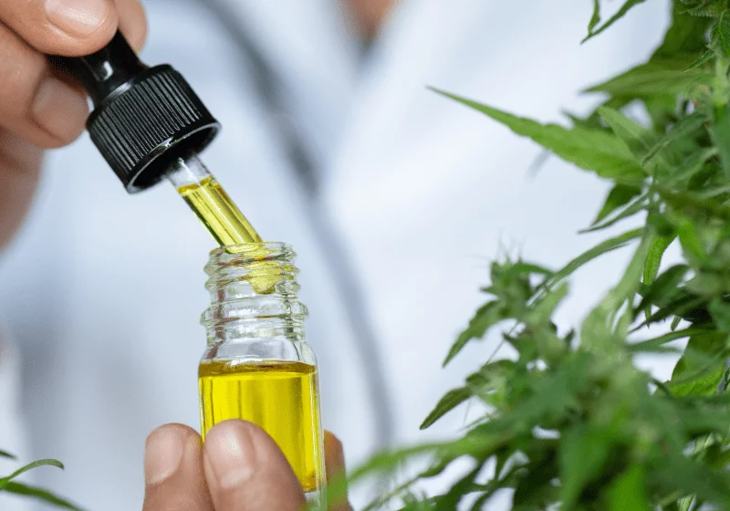 scientists with dropper of cbd oil at hemp farm