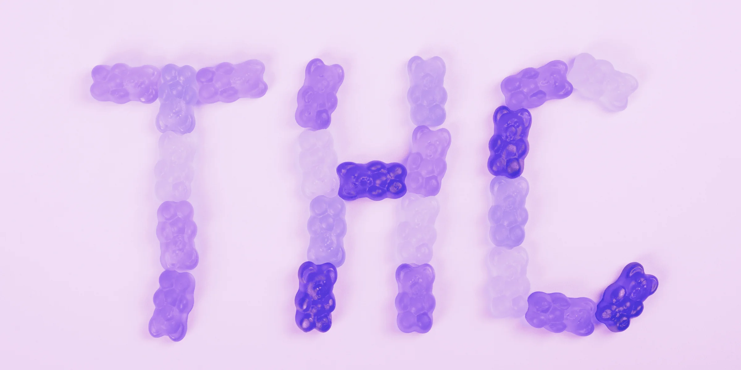 THC spelled out in purple weed gummies made from marijuana