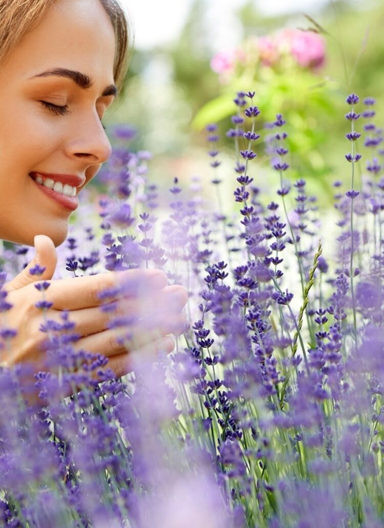 women smelling lavender herbal remedy for relaxation