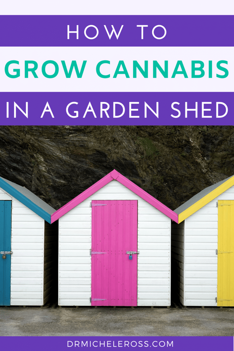 grow weed at home in your backyard shed