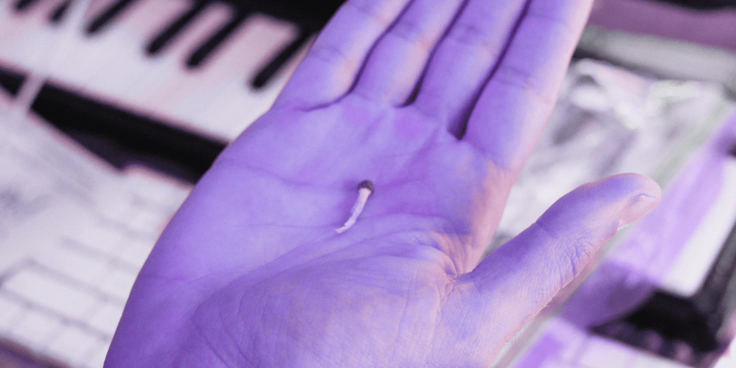 getting high on psychedelic mushrooms during coronavirus shutdown in your messy room