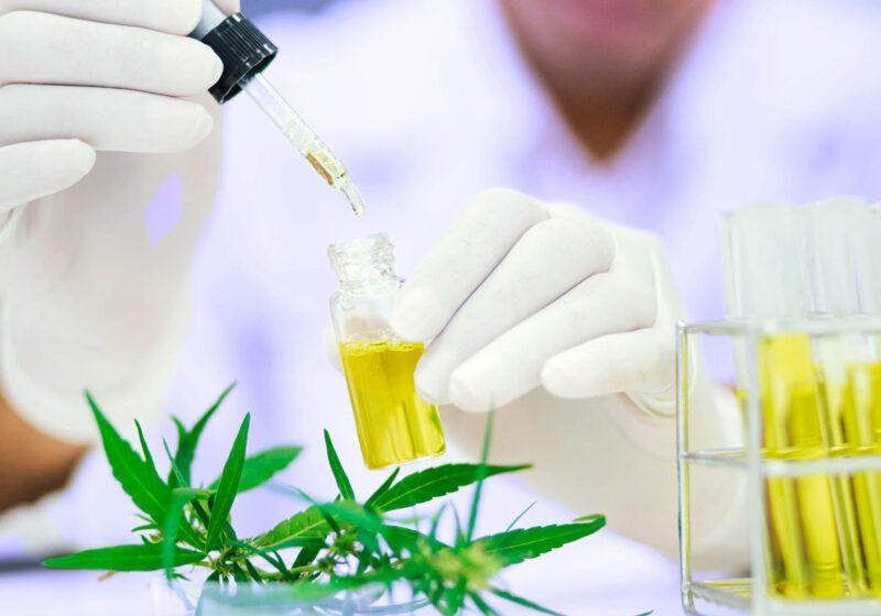 scientist holding cbd oil that helps with mental health and pain