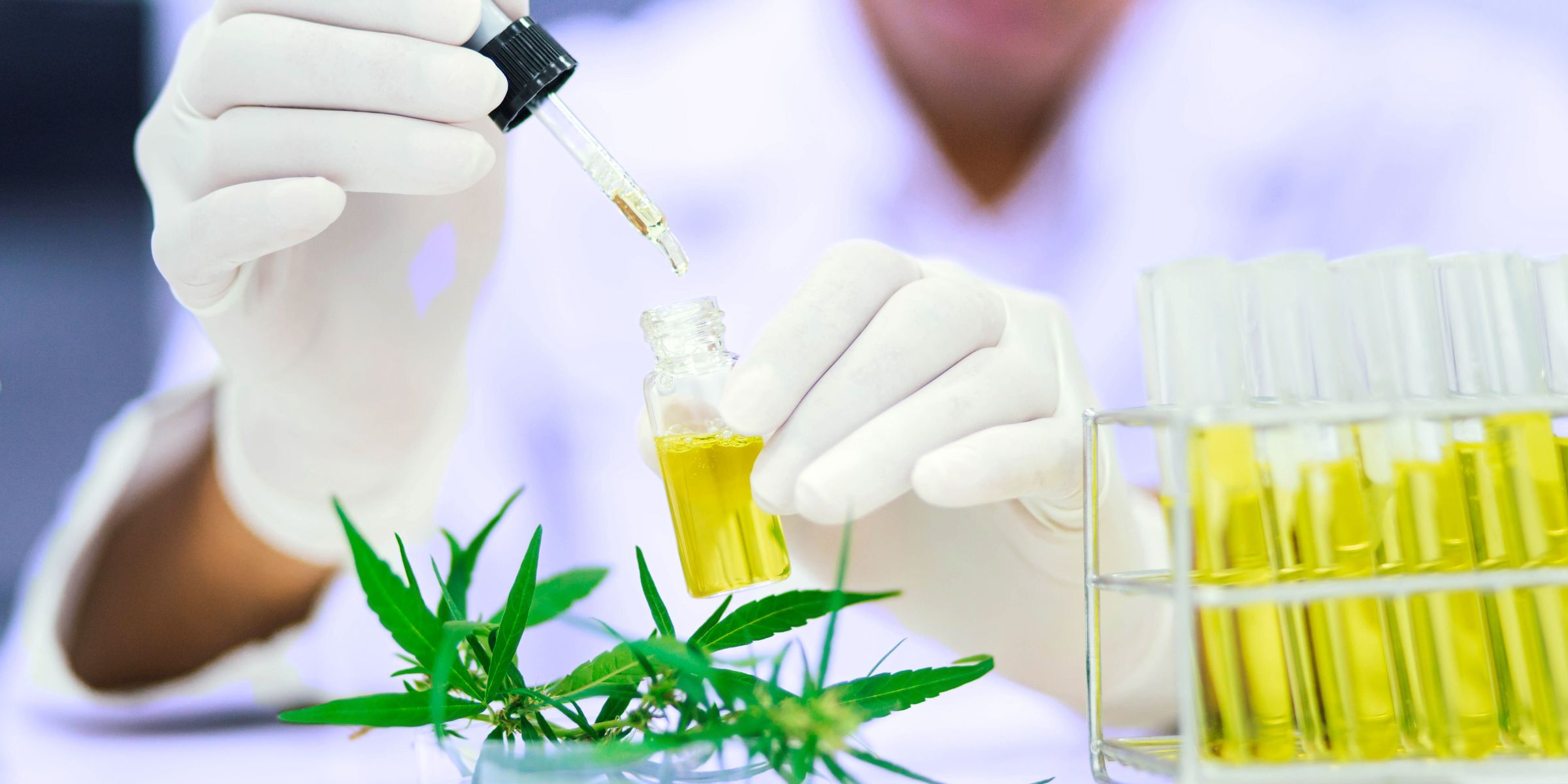 scientist holding cbd oil that helps with mental health and pain