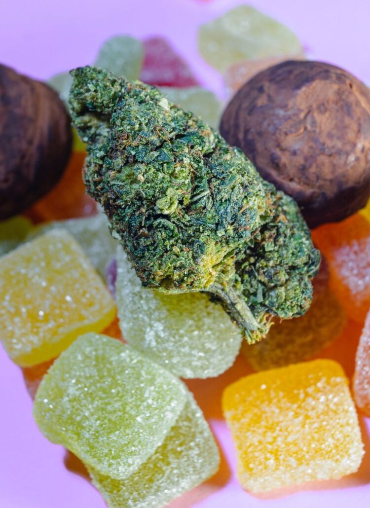cannabis leaf medical marijuana weed gummy and pot brownie