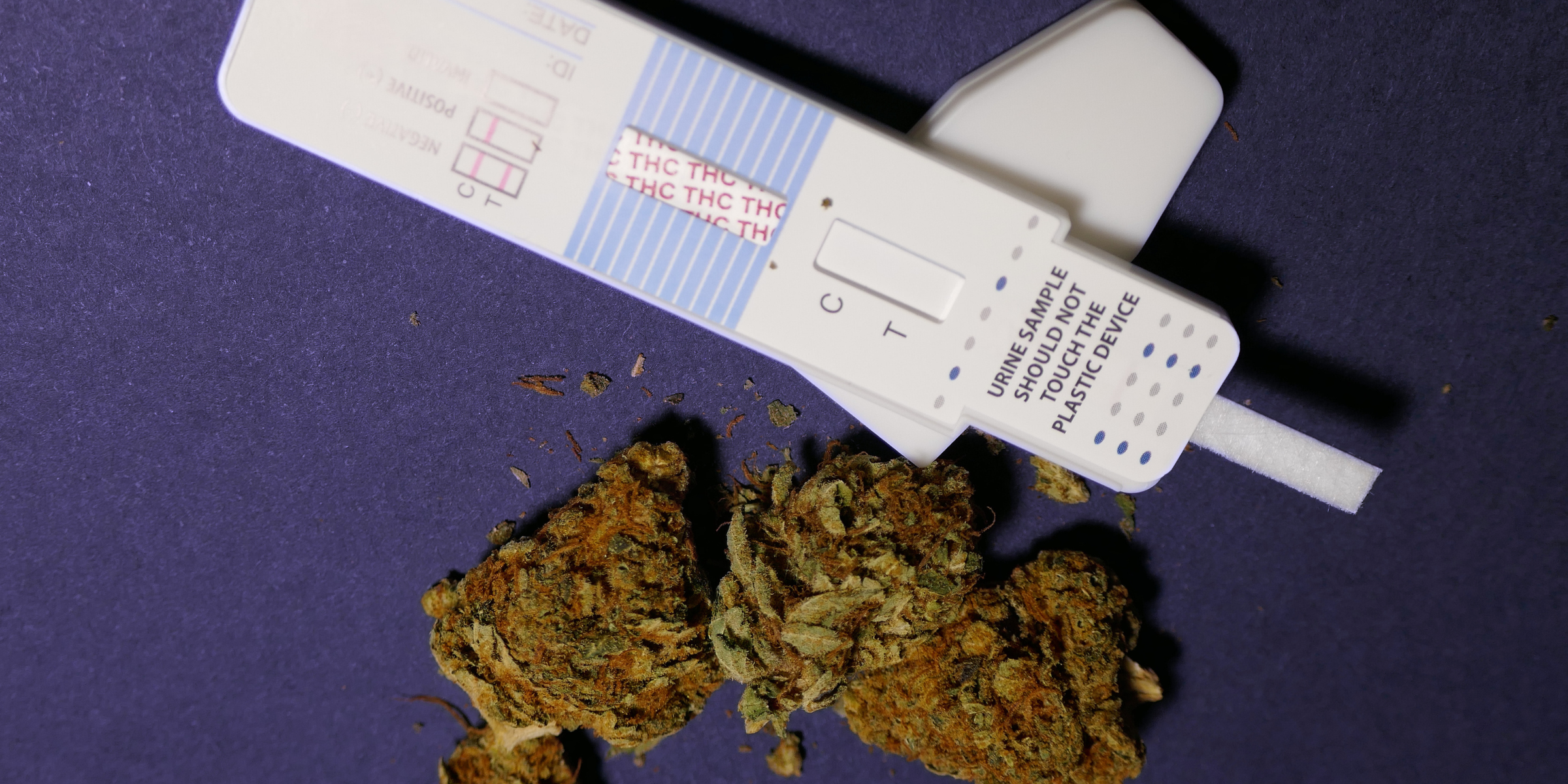 Don't Fail A Marijuana Drug Test