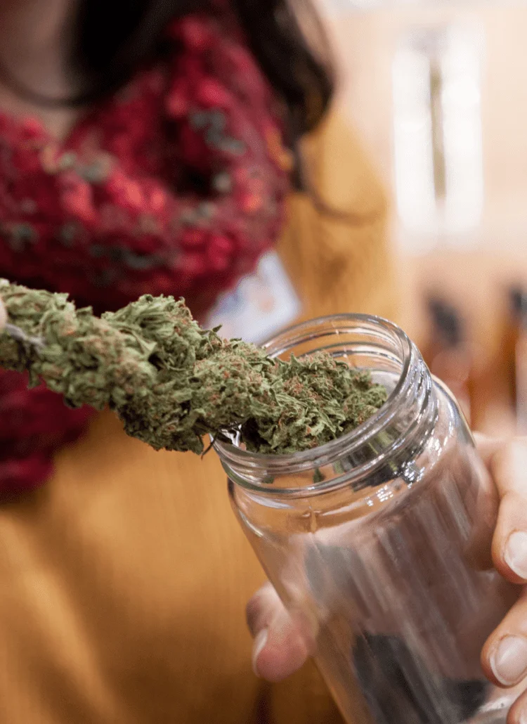 woman putting marijuana in storage container