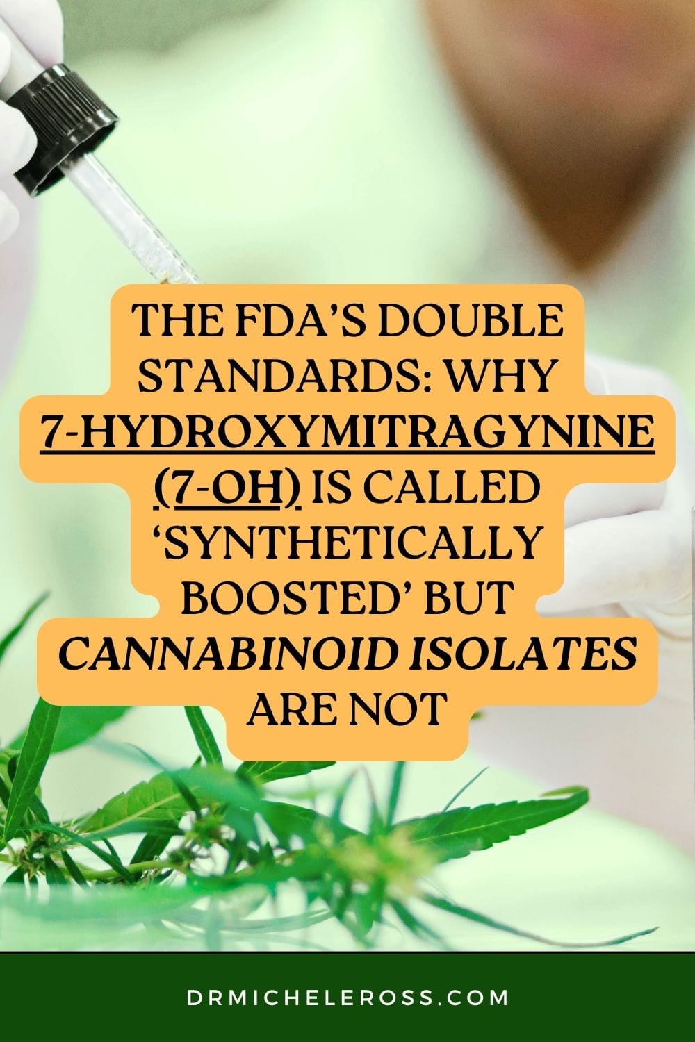 scientist studying CBN and 7-OH in the lab for medicinal properties