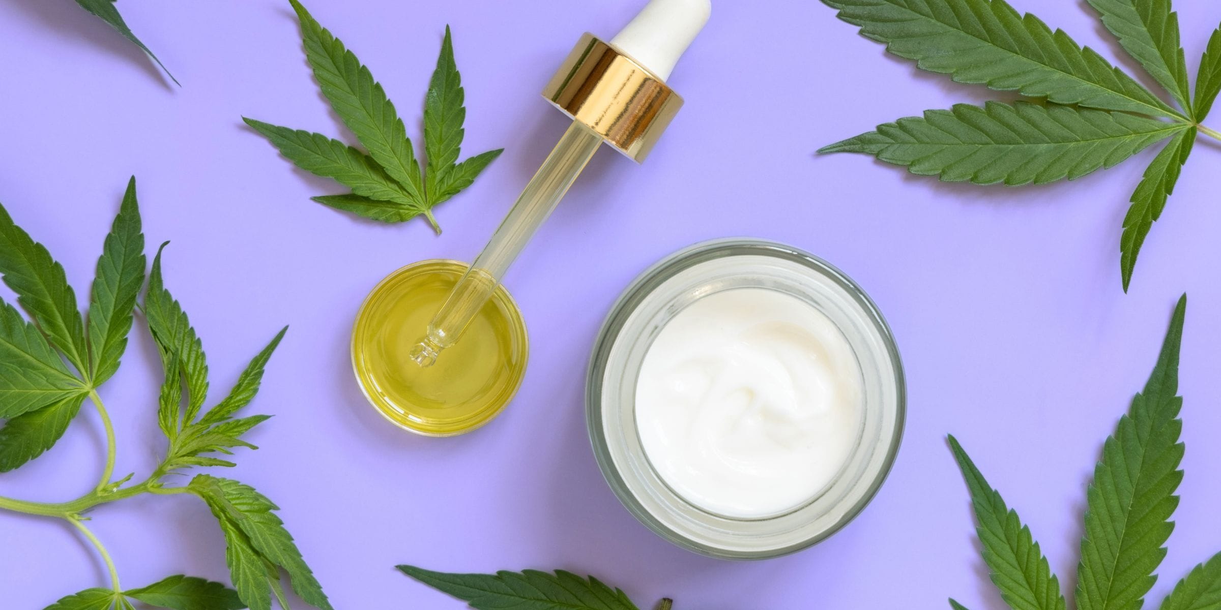 cannabis leaves cbd oil weed cream on purple background