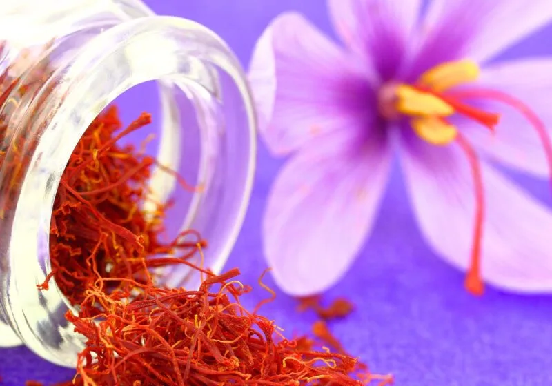 saffron herb spilling out of container next to purple flower helps inflammation