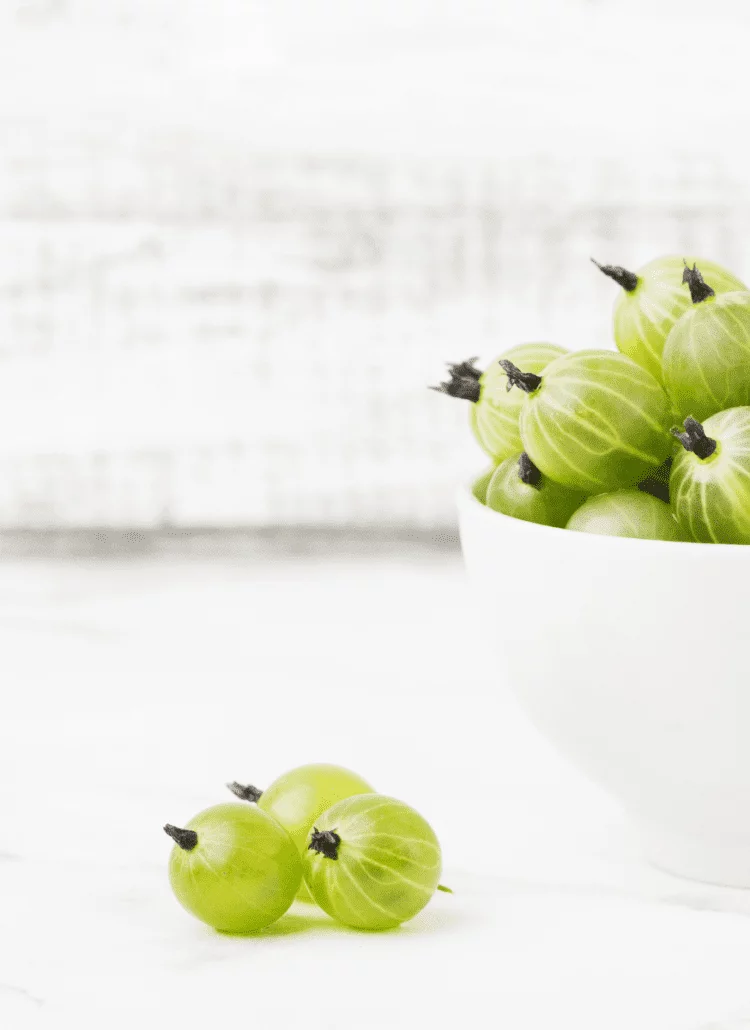 indian gooseberry herb for winter