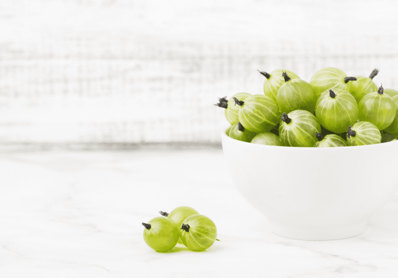 indian gooseberry herb for winter