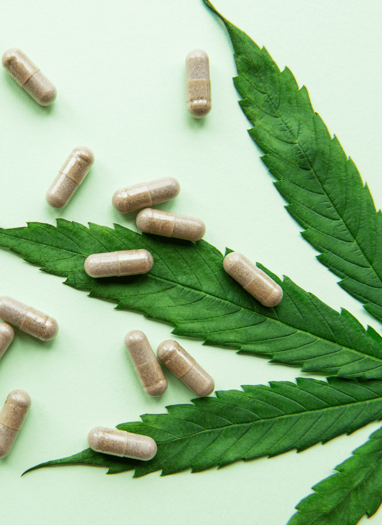 Cannabis oil hemp oil capsules pot leaf