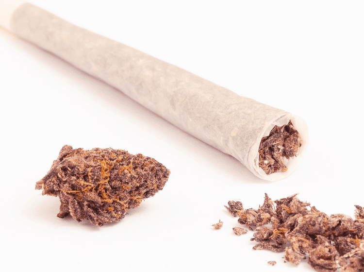 old joints old cannabis buds pre-roll