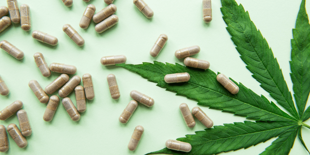 hemp oil pills with cbd can help chronic pain