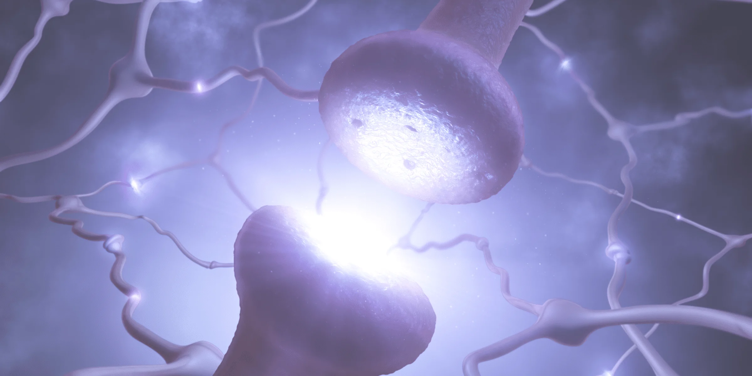 neurons endocannabinoid system signaling