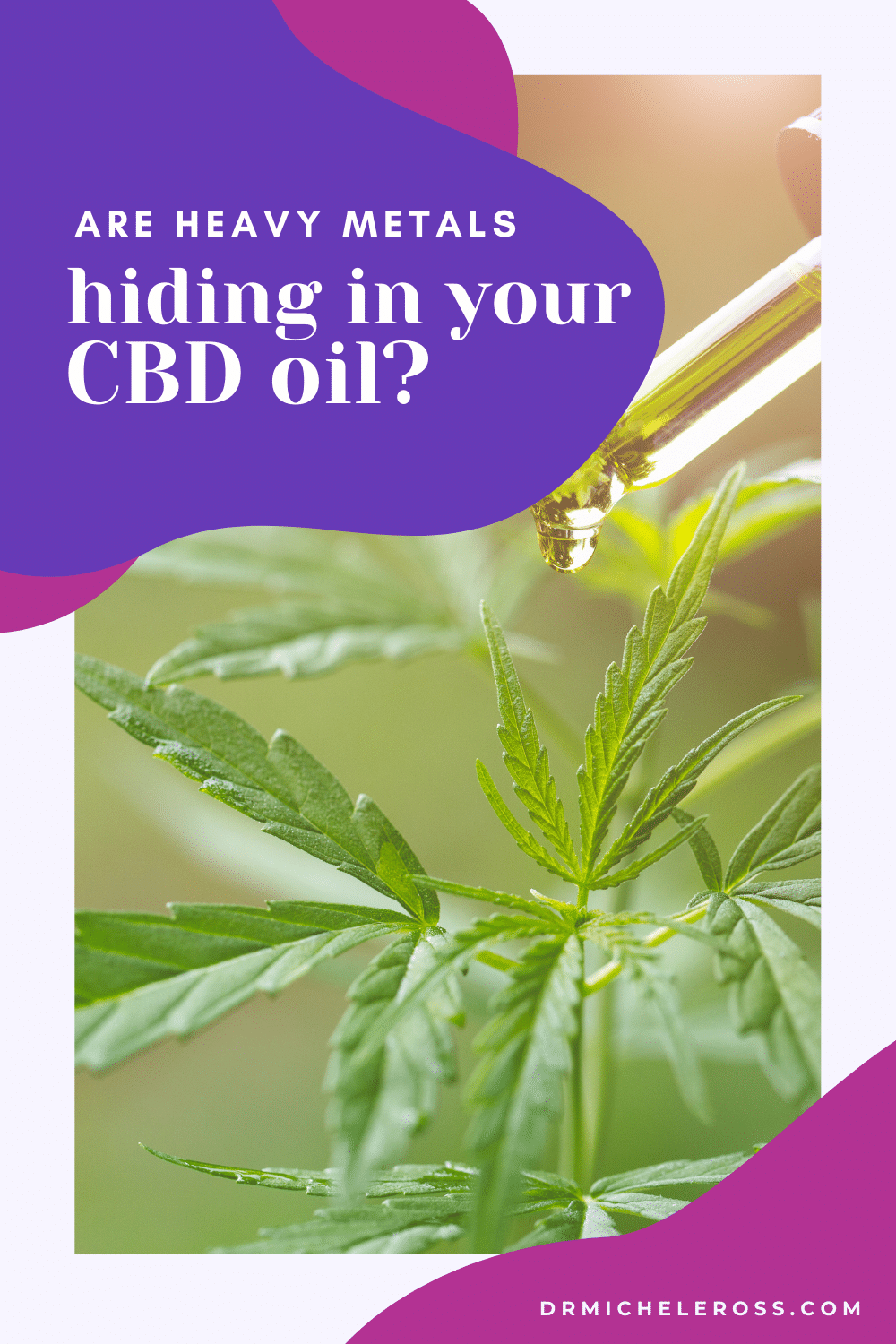 hemp plant and cbd oil dropper