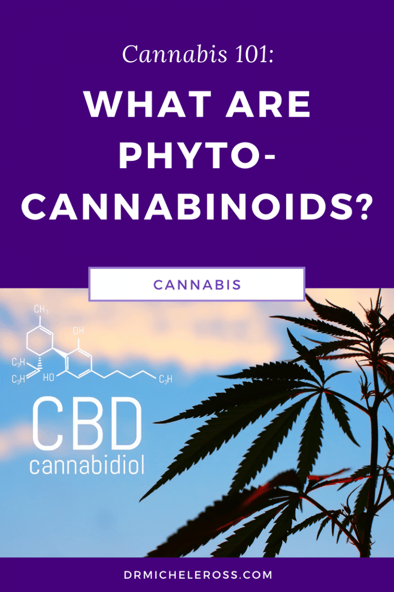 Cannabis 101: What Are Phytocannabinoids? | Dr. Michele Ross