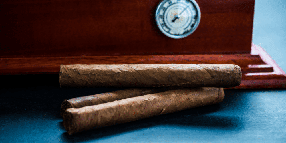 cedar humidor luxury cigar storage