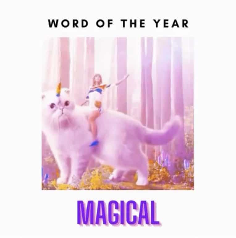 taylor swift on a unicorn cat is magical