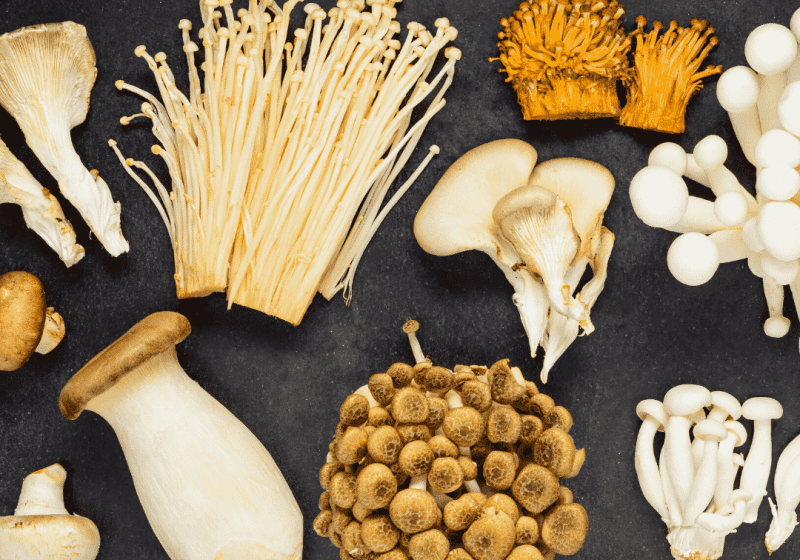 mushrooms boost the immune system