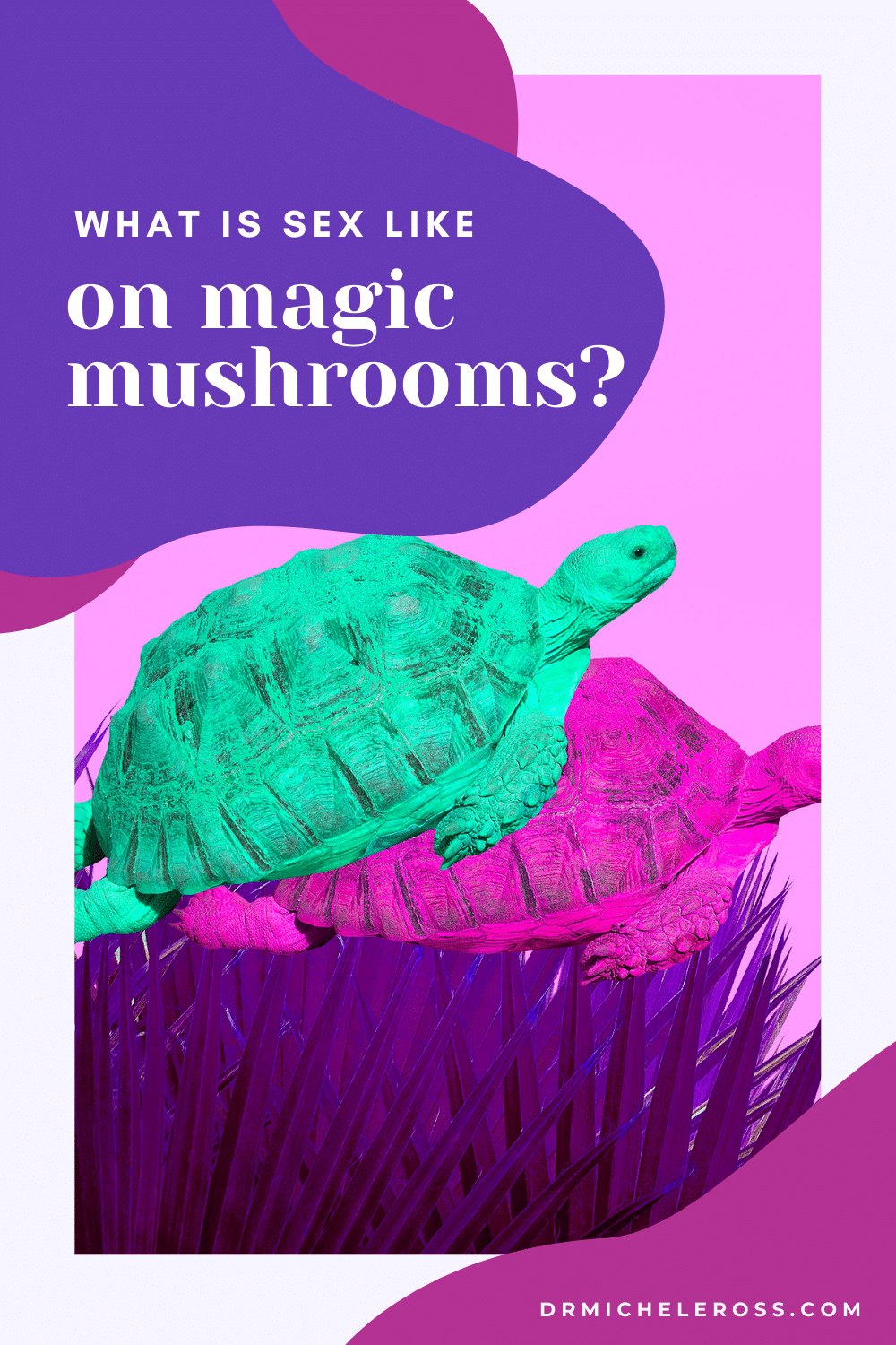 psychedelic turtles having sex on magic mushrooms